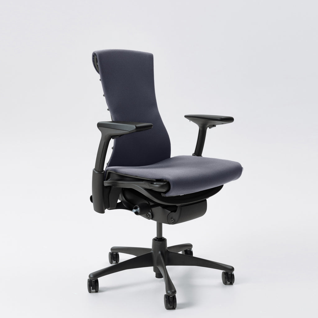 Herman Miller Embody Ergonomic Chair, Rhythm Fabric